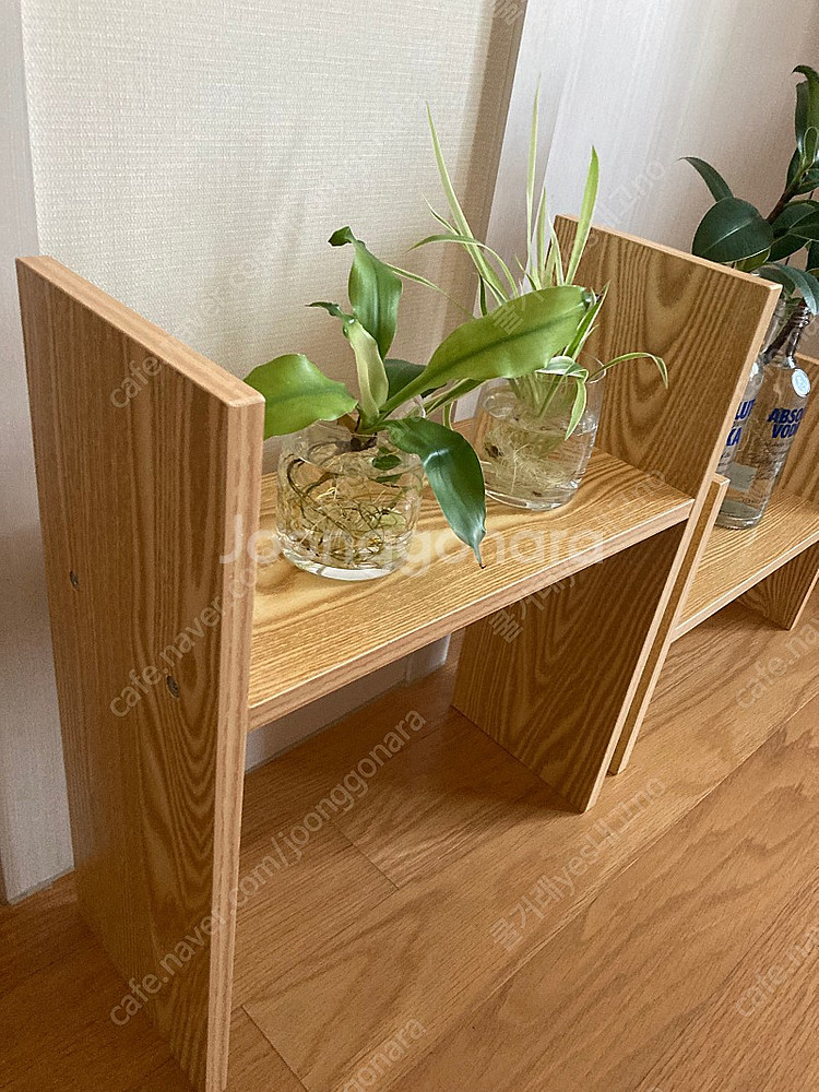 화분 개당 만원 수경식물 송파구--5