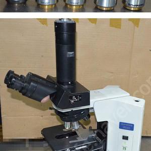 현미경 2대 Olympus BX41 Microscope