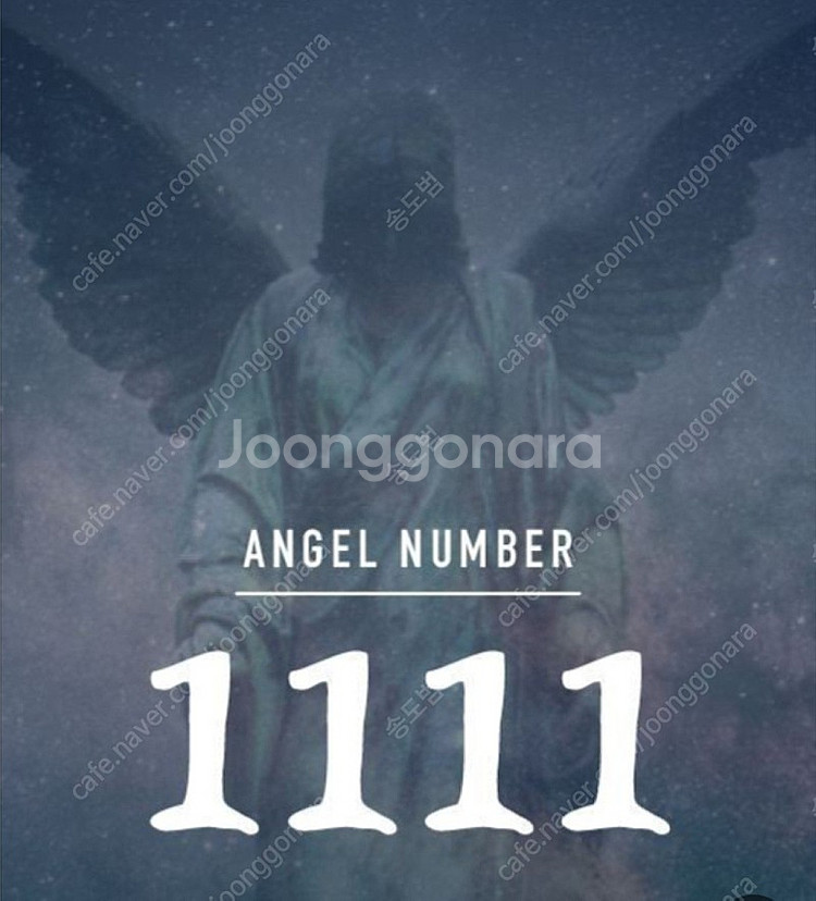 Angel number 골든 전화번호 1111(부동산번...--0