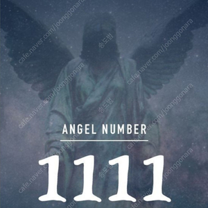 Angel number 골든 전화번호 1111(부동산번호사용)