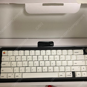 ZUOYA GMK67 즐루투스/2.4/유선(택포)