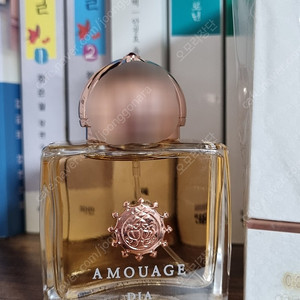 아무아쥬 디아 향수 50ml