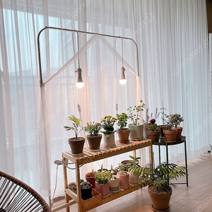 LED 식물등 일괄