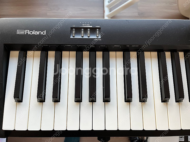 롤랜드 Roland Fp-10 팝니다.--1