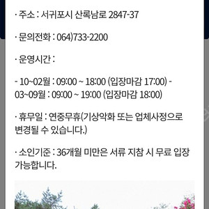 제주도 상효원 성인2매