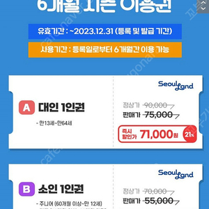 서울랜드 6개월 시즌권 대인 소인