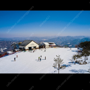 휘닉스파크 곤돌라,눈썰매 3장씩 오늘사용