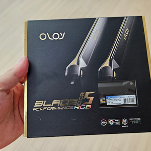 OLOy DDR5-5600 CL36 BLADE RGB Black 패키지 16gb(8gb x 2)