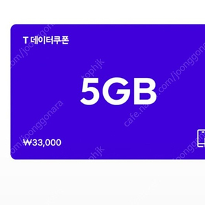 SK 데이터쿠폰 5GB