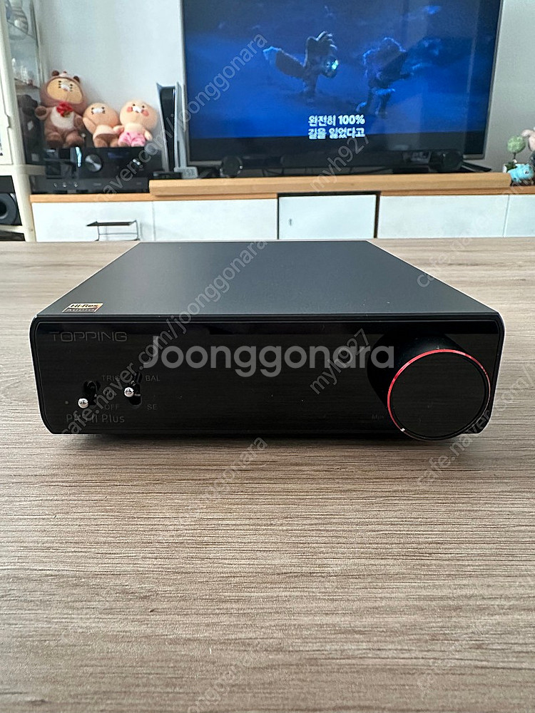 Pa5 II Plus + DO100 앰프 Dac--0