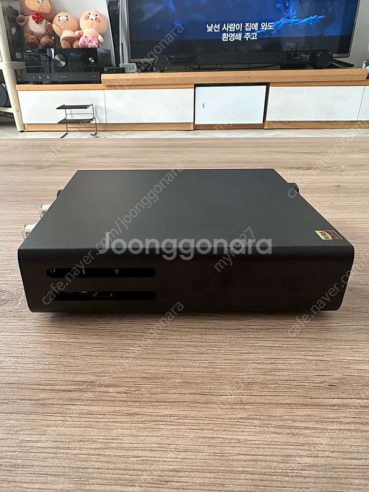 Pa5 II Plus + DO100 앰프 Dac--3