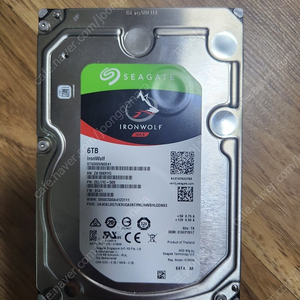 시게이트 아이언울프 6TB