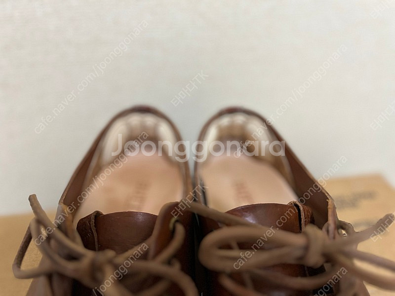 부테로 타니노 (40.5)--5