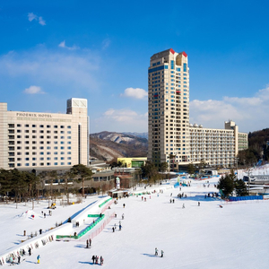 (12월 1월) 휘닉스파크 알펜시아 양도합니다