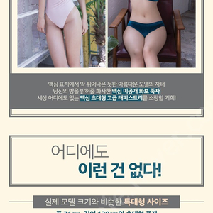 신재은 태피스트리