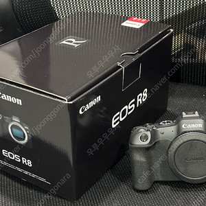 캐논 eos r8