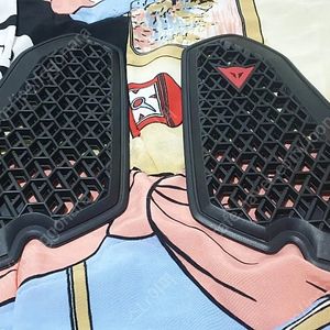 다이네즈 가슴보호대팝니다