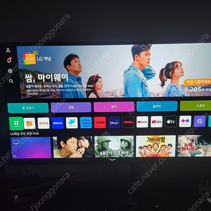 lg 42인치 oled 모니터겸 TV 42c3