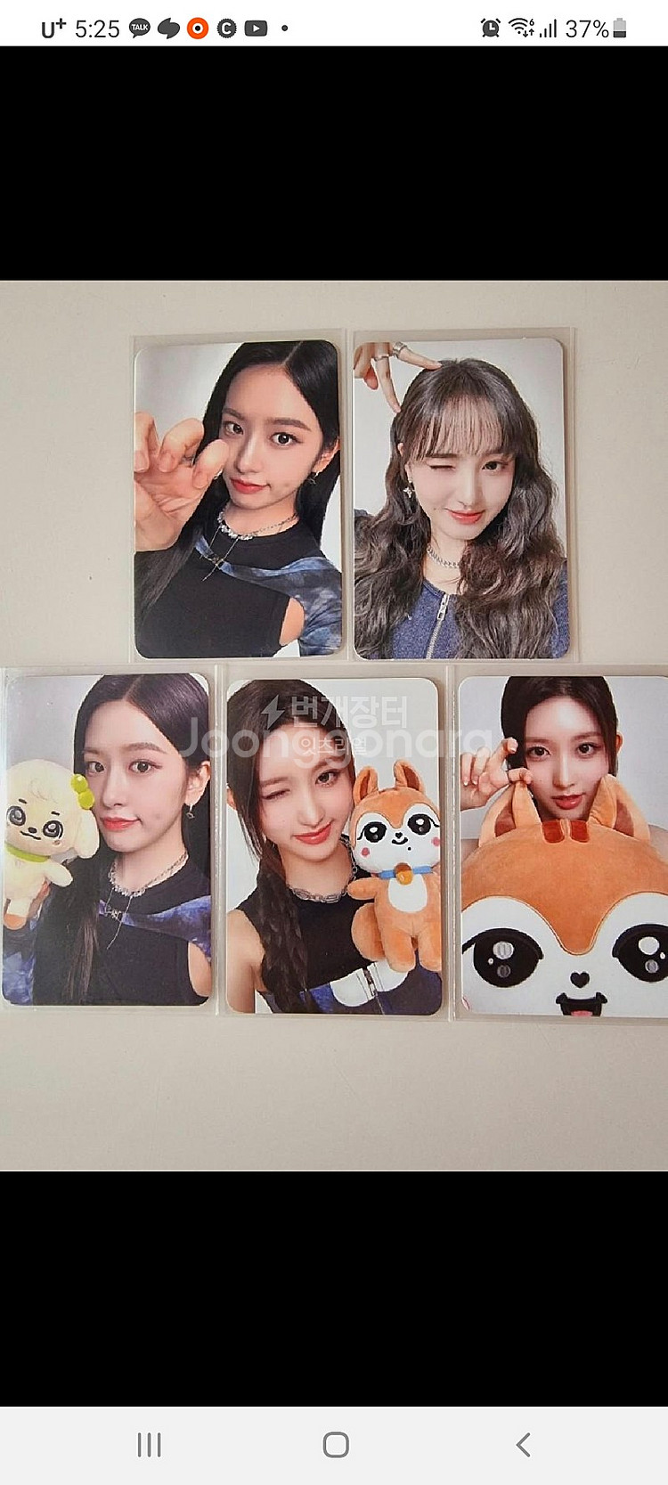 아이브 미니브 메가 페이스 포카 복권--0