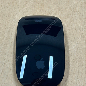 애플 매직 마우스 2 블랙 입니다.[택포]