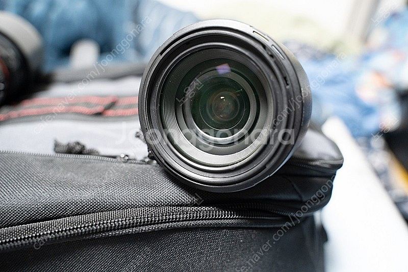 소니 A77, 탐론 17-50, 소니 55-200, 스...--6