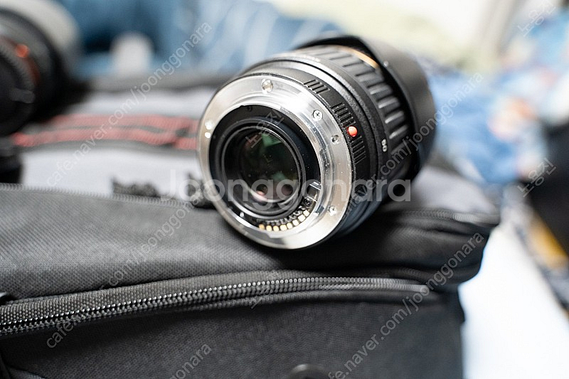 소니 A77, 탐론 17-50, 소니 55-200, 스...--7