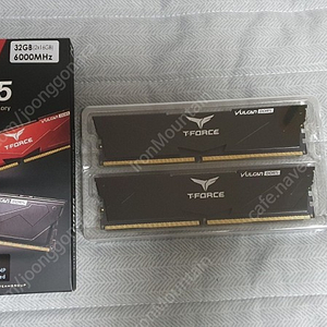 팀그룹 T-FORCE DDR5 32GB(2x16GB) 6000MHz