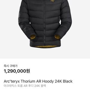 아크테릭스 토륨 AR 후디 24K 블랙 XL