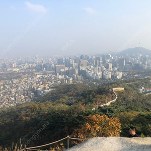 넷플릭스 공유요금제 1분 모십니다