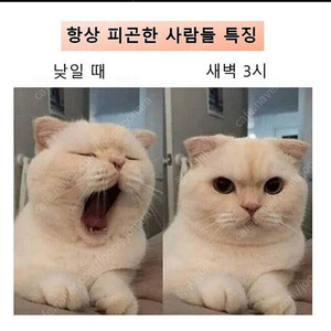 에버랜드 티켓팔아요