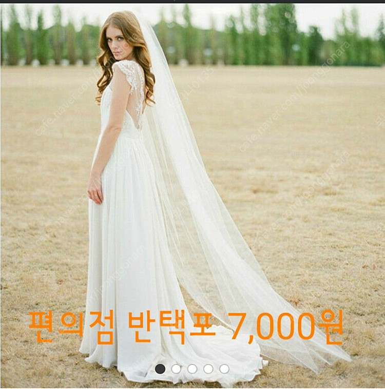 웨딩 결혼식 베일 모음--9