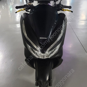 19년 pcx125 배달풀옵