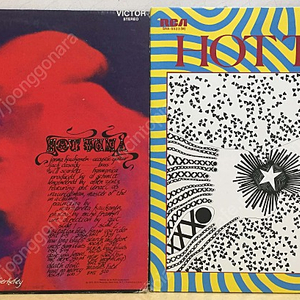 LP : jorma kaukonen 조마 카우코넨 엘피 음반 5장 블루스 락 음반 픽쳐디스크 blues rock 핫 튜너 hot tuna