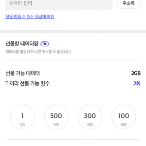 SKT 데이터 2GB