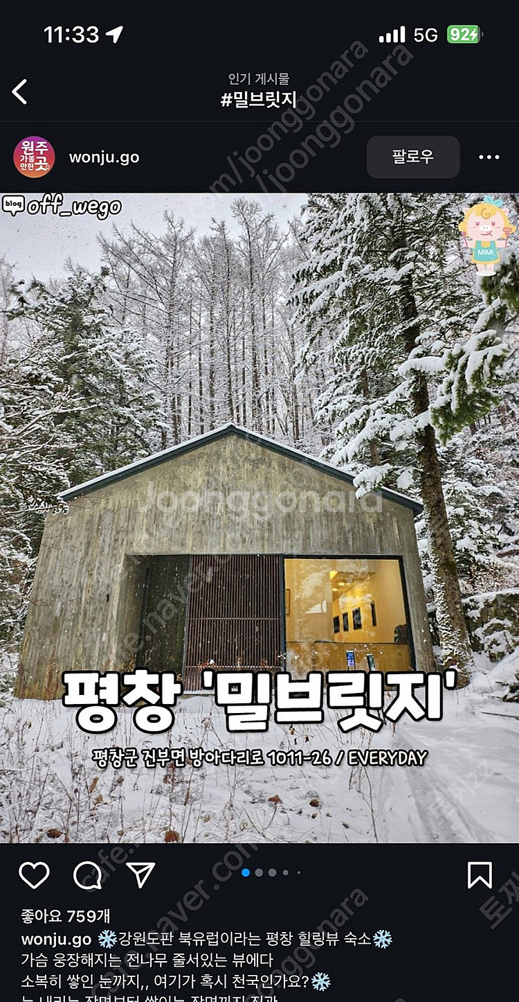 평창 밀브릿지 주말 1박 24년 02/04~02/05 ...--0
