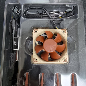 NOCTUA NF-A6x25 PWM 60mm 팬 판매 해요