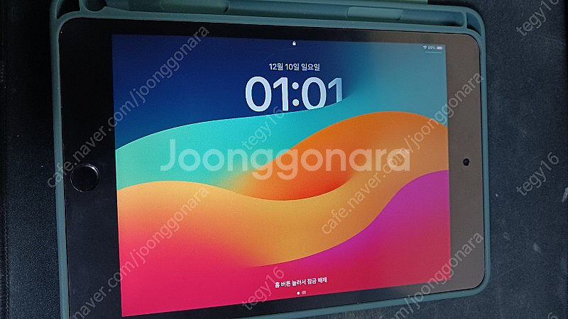 아이패드 미니 5 256GB 셀룰러--0