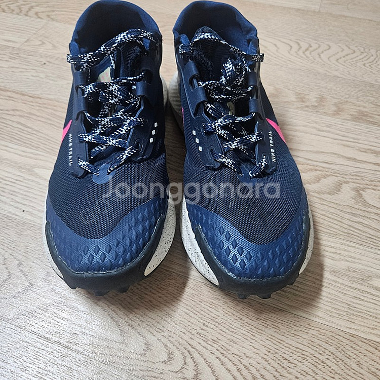 나이키 운동화 페가수스 트레일 3 GTX DC8793-401--4