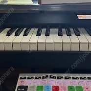 스튜디오 로직 SL88 GRAND 팝니다.