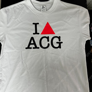 나이키 acg 티 100