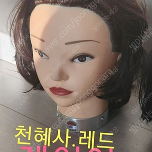 통가발 레이어 천혜사 레드