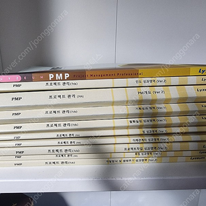 라이지움 PMP 2023년 교재(상태 양호) 판매합니다.