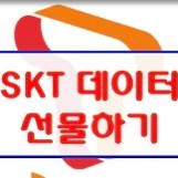 skt 데이터 2기가 3000