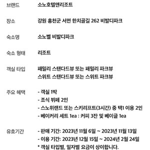 비발디파크 윈터 올인클루시브 패키지 팔아요