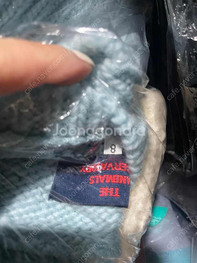 The Animals Observatory 8y--1