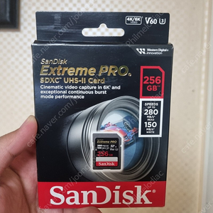 sandisk v60 256gb