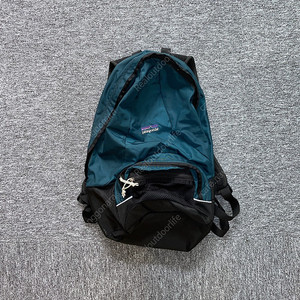 Patagonia 00s Daypack / 파타고니아 데이백 / 파타고니아 빈티지 가방