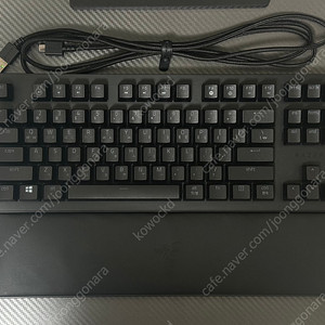 레이저 헌츠맨 v2 TKL
