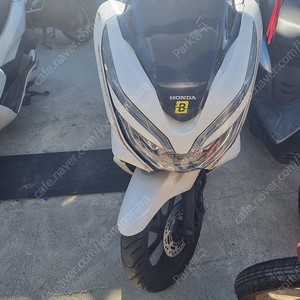 Pcx19년식