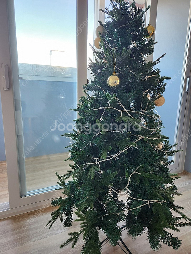 크리스마스트리--0